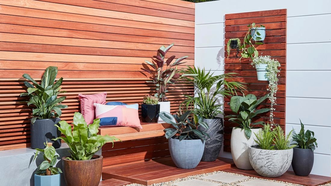 A redwood themed outdoor area with various potted plants and a vertical garden