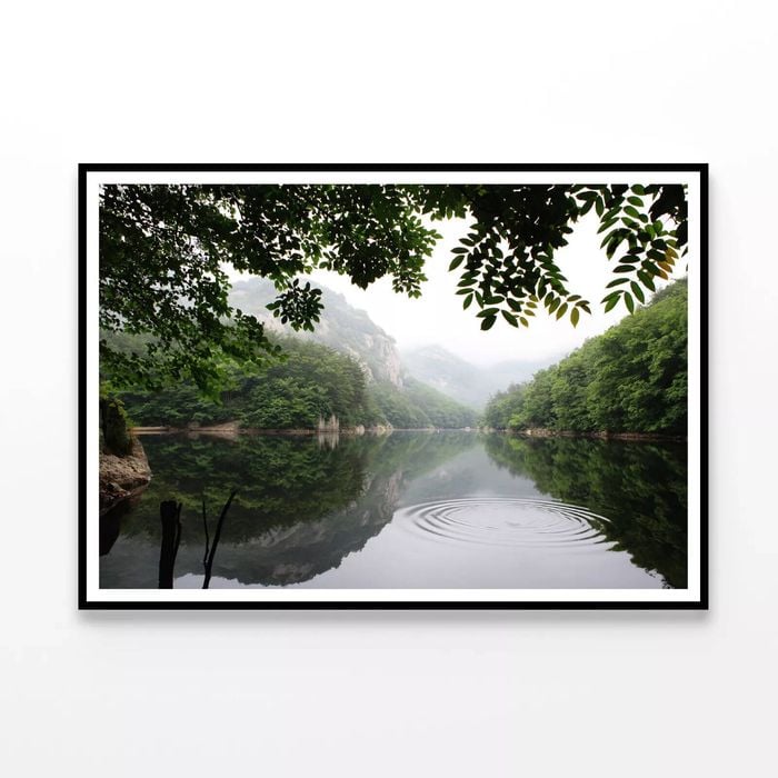 Lake in the Forest with Trees  Print 100% Australian Made 120x90cm  (Poster)
