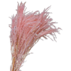 Blooms Of Joy 60cm Pink Helecho Fern