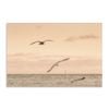 Artey | Sunset Flocks - Stretched Canvas - Stretched Canvas - 100 x 150cm
