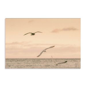 Artey | Sunset Flocks - Stretched Canvas - Stretched Canvas - 100 x 150cm