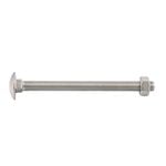Zenith M12 x 150mm Stainless Steel Cup Head Bolt And Nut