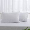 Dreamaker Baby Bamboo Terry Cot Waterproof Pillow Protector (twin Pack)