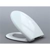 Cedo Neptune Beach Toilet Seat