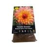 Yarra Valley Bulbs Dahlia Florelie Sea Star - 1 Pack
