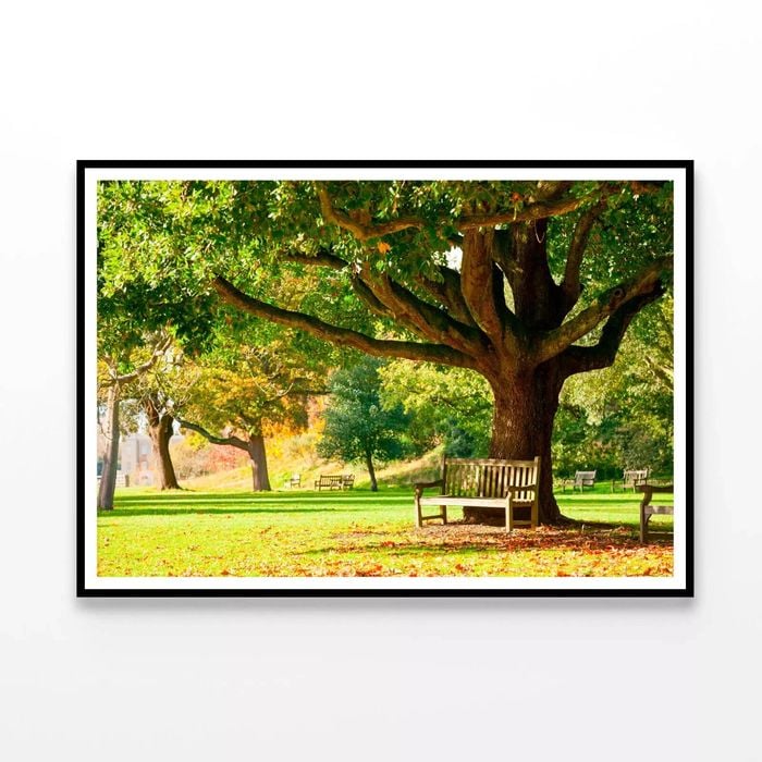 Kew Gardens Park  Print 100% Australian Made 90x60cm  (Poster)