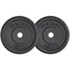 METEOR 10kgx2 Black Cast Iron Standard Weight Plates