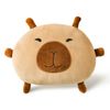 Jack & Ava Tofu the Capybara Plush Velour Cushion
