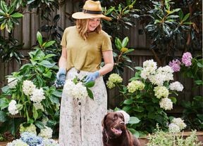 A person wearing a wide‑brimmed hat and gardening gloves tends to flowering hydrangea plants in a backyard garden, with a brown dog standing nearby and a white house wall visible on the right.