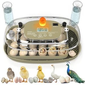 Advwin Automatic Incubator 24 Egg Hatching Digital Turning Hatcher Chick Duck Poultry