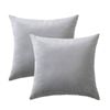 Catzon 2 Pcs Square Throw Pillow Covers Solid Soft Velvet for Spring Sofa-Light Grey