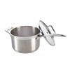 Iconix Saucepan With Lid 20cm Baccarat