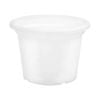 EDEN 25cm Transparent White Cylinder Planter