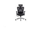SIHOO M57 Ergonomic Office Chair Desk - (Black)