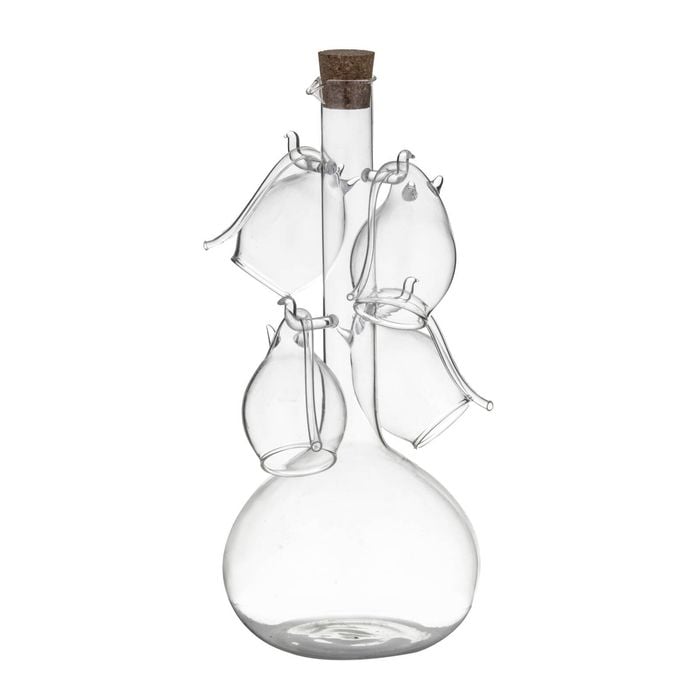 Davis & Waddell Fine Foods Port Flask & Sippers 5pcs Set Flask 800ml/Sippers 60ml