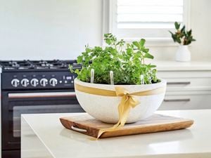 A variety of herbs are planted in a white semi-circular plant pot with a gold ribbon wrapped around it.
