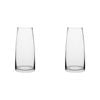2PK Ecology Fleur Posy Glass Vase Decorative Flower Vessel 25cm