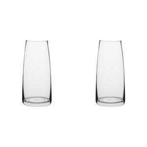 2PK Ecology Fleur Posy Glass Vase Decorative Flower Vessel 25cm