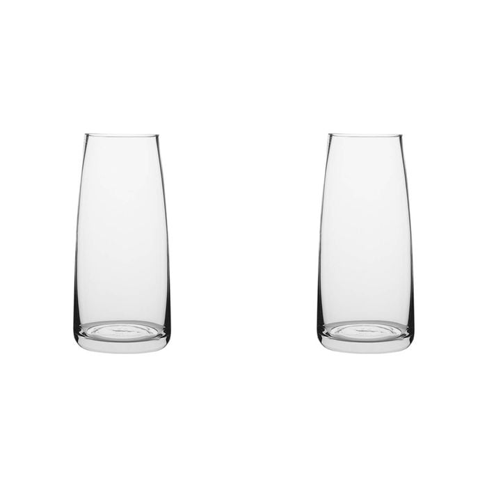 2PK Ecology Fleur Posy Glass Vase Decorative Flower Vessel 25cm