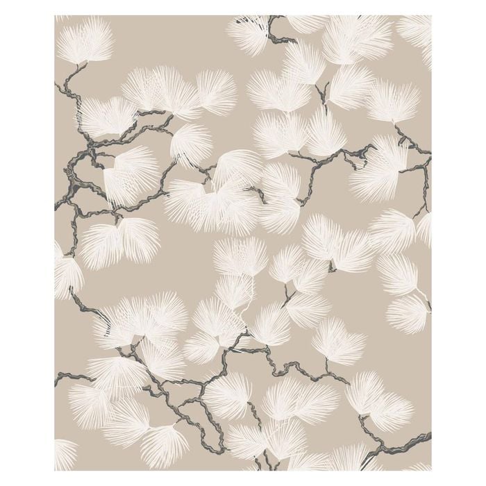 Wallpaper Trader Pine Wallpaper Roll 10.05m X 53cm, Beige