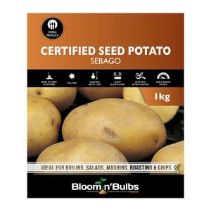 Bloomin' Bulbs 1kg Certified Seed Potato Sebago