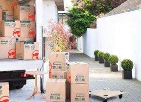 Moving boxes in bunnings colourway