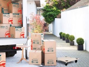 Moving boxes in bunnings colourway