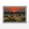 Nature View with Trees & Sunset   Print 100% Australian Made 90x60cm  (Poster)