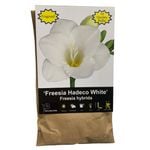 Yarra Valley Bulbs Freesia Fragrant White - 10 Pack