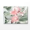 Pink Gum Flower Closeup Faded Print 100% Australian Made 150x100cm (Stretched Canvas)