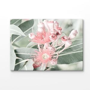 Pink Gum Flower Closeup Faded Print 100% Australian Made 150x100cm (Stretched Canvas)