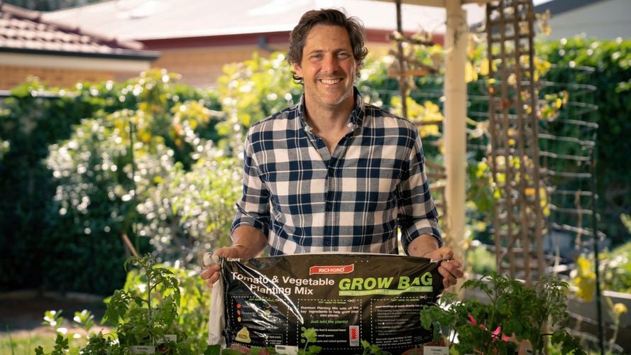Man with growbag and plants in wide shot.  