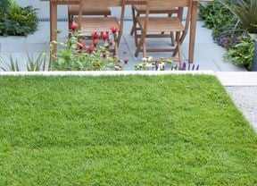 wide landscape image of a lawn