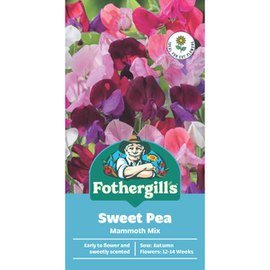 Fothergill's Sweet Pea Mammoth Mixed Flower Seeds