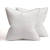 Catzon 2 Pcs Decorative Velvet Throw Pillow Covers Soild for Home Car 40X40cm-White