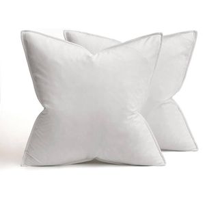 Catzon 2 Pcs Decorative Velvet Throw Pillow Covers Soild for Home Car 40X40cm-White