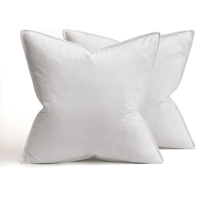Catzon 2 Pcs Decorative Velvet Throw Pillow Covers Soild for Home Car 40X40cm-White