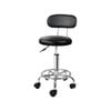 Artiss Salon Stool Black