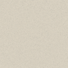 Practa 2000 x 600 x 28mm Speckled White Laminate Benchtop