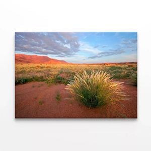 Grassland with Mountains  Print 100% Australian Made 120 x 90cm  (Stretched)