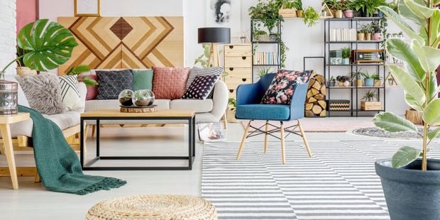 Stylish living room - Colourful space with plants - wide