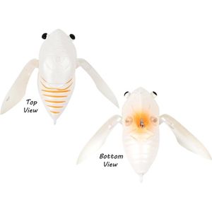 Atomic Hardz Cicada 35mm Surface Topwater Fishing Lure White Beauty