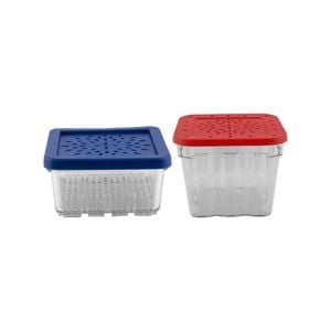 Avanti Berry Baskets 2 Piece Set