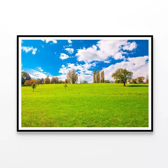 Green Field and Blue Sky  Print 100% Australian Made 90x60cm  (Poster)