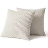 Catzon 2 Pcs Throw Pillow Covers Soft Striped Corduroy Cushion Case for Couch 60X60cm-Beige