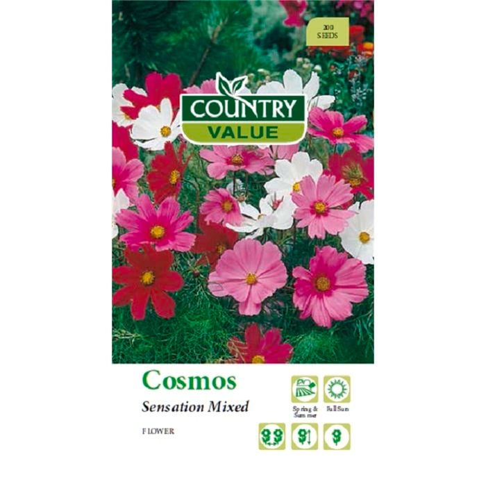 Country Value Seed Cosmos Sensation Mixed