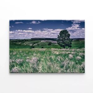 Flowers with a Tree under a Sky  Print 100% Australian Made 120 x 90cm  (Stretched)