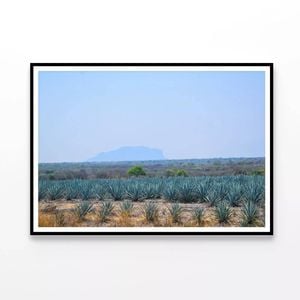Green Plants with a Mountain   Print 100% Australian Made 120x90cm  (Poster)