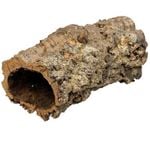 Cork Bark Hollow Large Natural Terrarium Hide & Climbing Surface