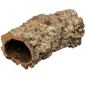 Cork Bark Hollow Large Natural Terrarium Hide & Climbing Surface